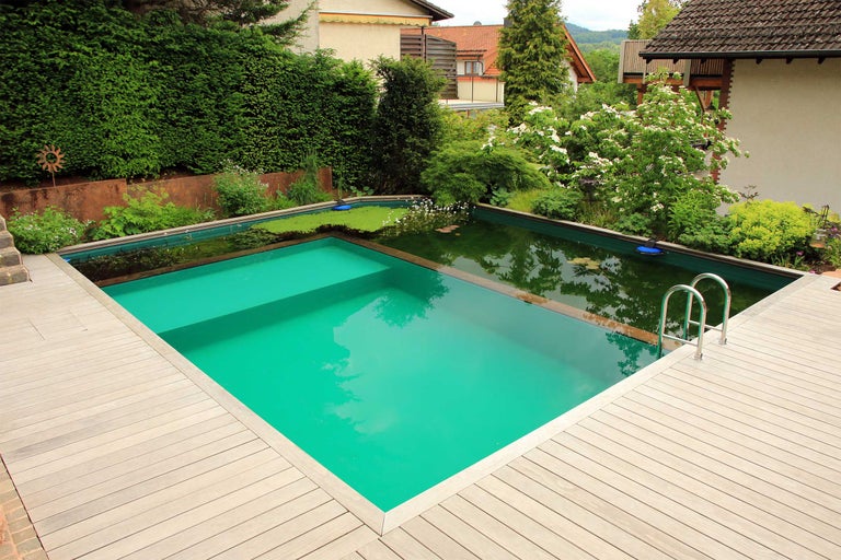 Natürlicher Swimmingpool mit Holzdeck und Edelstahltreppe in einem grünen Garten.