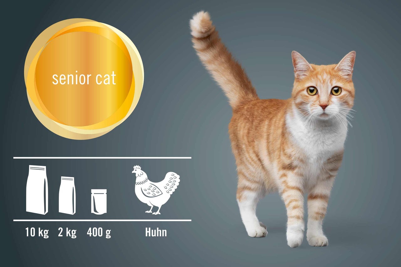 Katzenfutter für ältere Katzen mit Huhn in verschiedenen Packungsgrößen