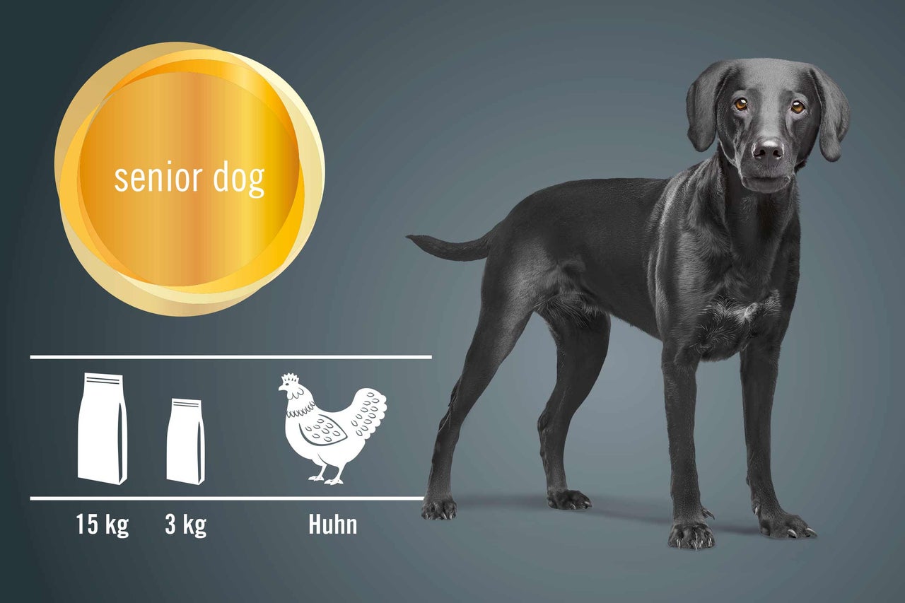 Hundefutter für ältere Hunde, 15 Kilogramm und 3 Kilogramm Packung, Geschmacksrichtung Huhn