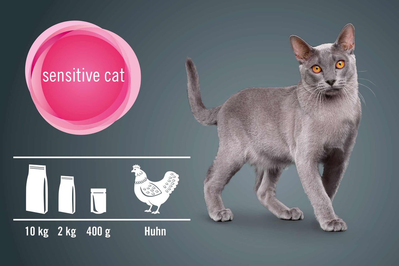 Katzenfutter für empfindliche Katzen mit Huhn