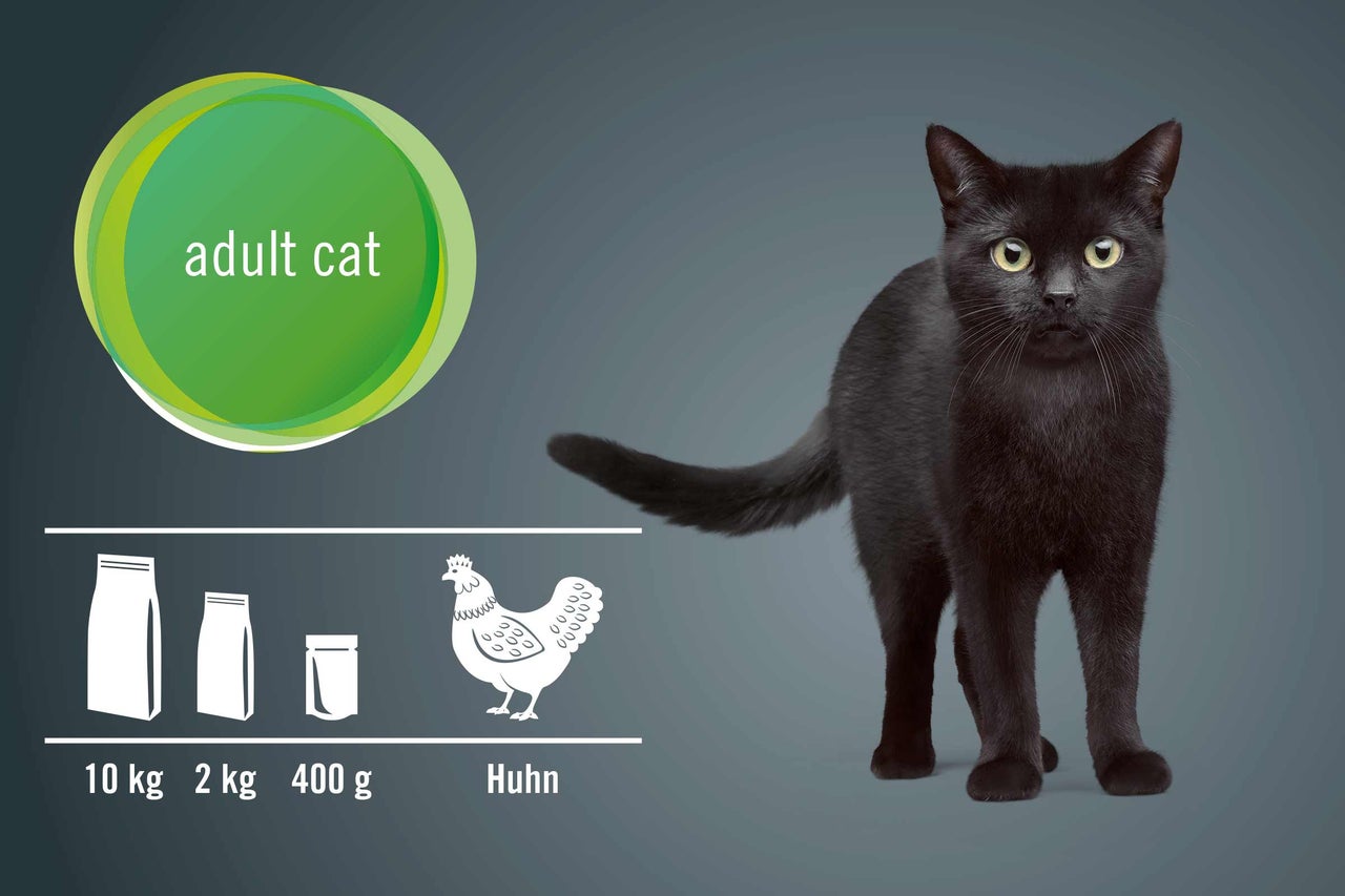 Abbildung einer Katze mit Informationen zum Katzenfutter für ausgewachsene Katzen mit Huhn in verschiedenen Packungsgrößen