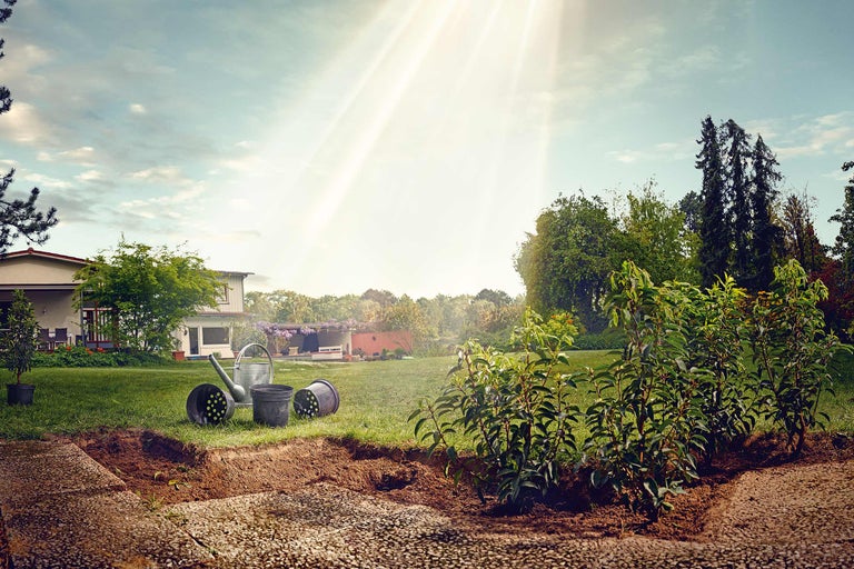 Szene einer Gartengestaltung mit Pflanzen, Gießkanne und Pflanzgefäßen vor einem Haus