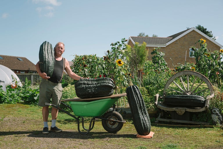 Mann mit Riesenzucchini im Garten neben Schubkarre und Holzbank