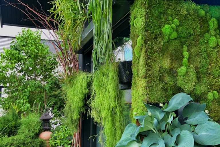 Begrünte Fassade mit verschiedenen Pflanzen und Moos