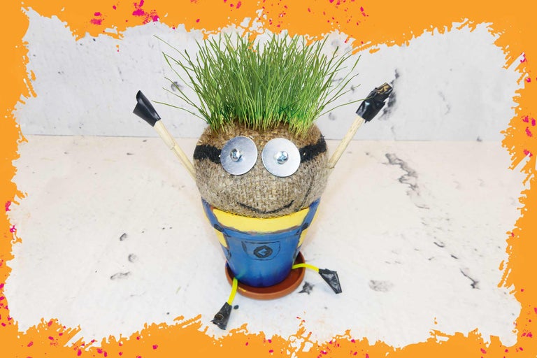 Kreativer Pflanztopf im Minion-Stil mit Gras als Haare