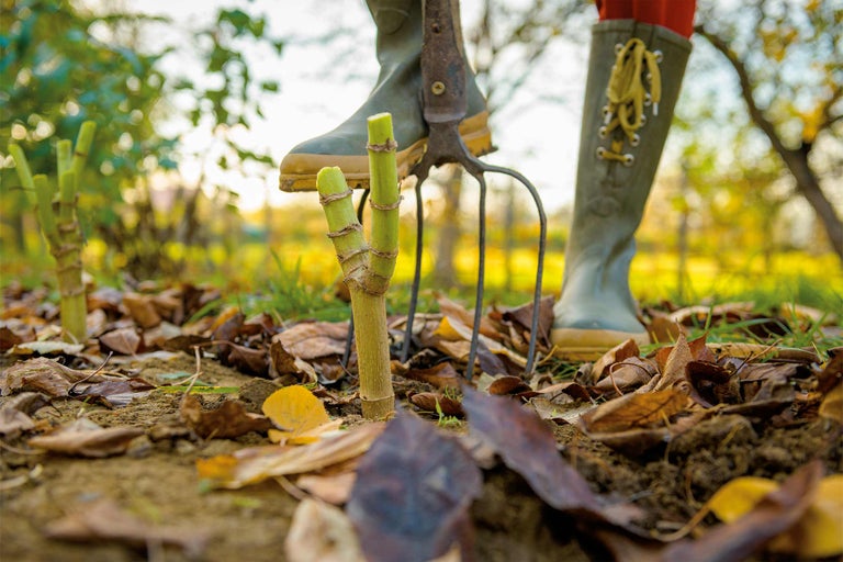 Gartenszene mit Gummistiefeln, Mistgabel und Setzlingen auf einem Gartenboden