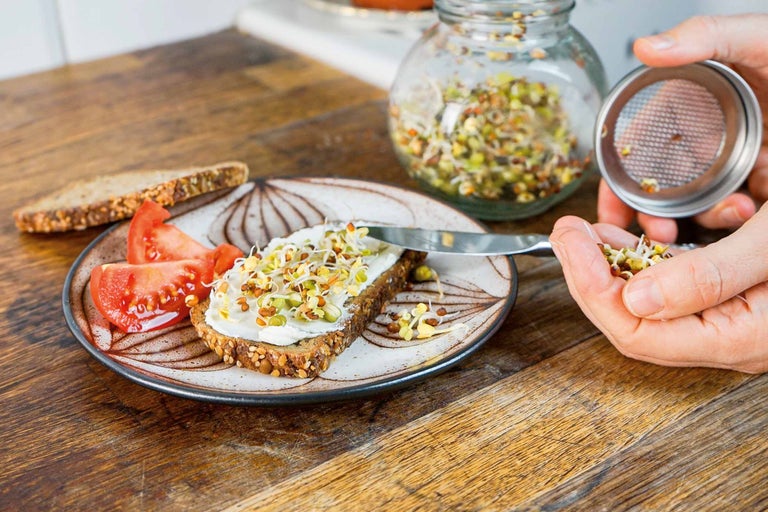 Brot mit Sprossen, Frischkäse und Tomaten auf einem Teller, daneben ein Sprossenglas