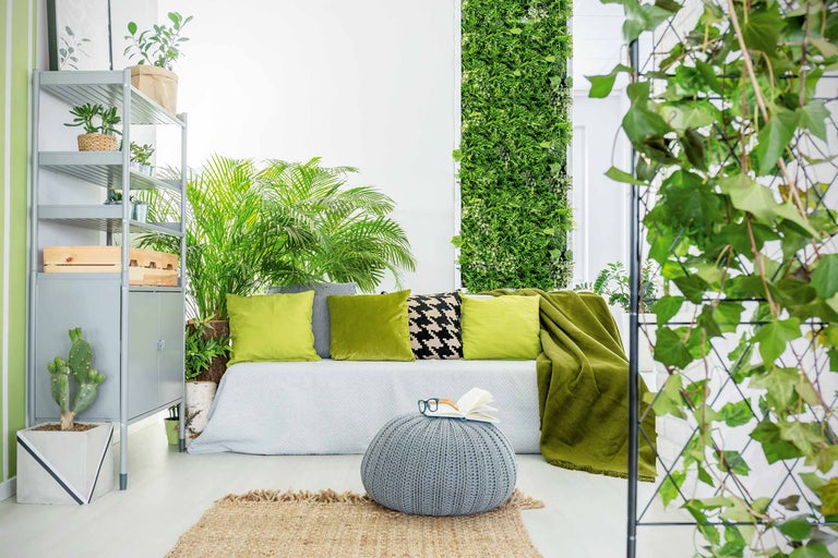 Wohnzimmer mit Regal, Couch, Pflanzen, vertikalem Garten und Dekoration