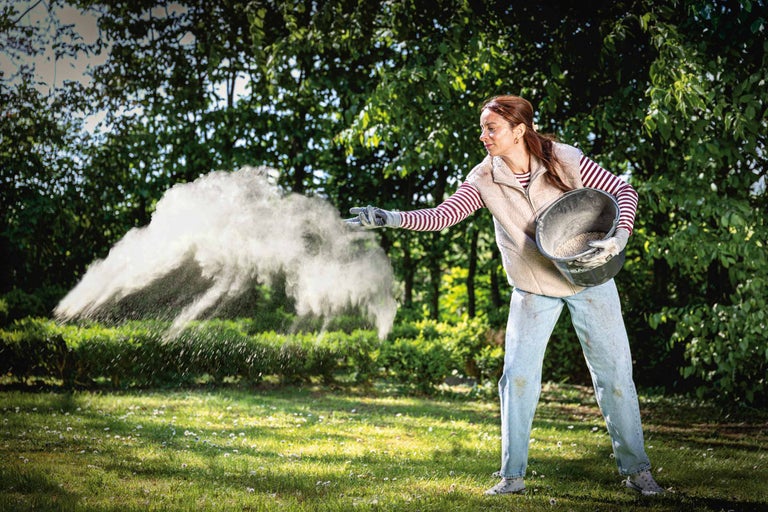 Eine Frau streut Rasenkalk aus einem Eimer auf eine Rasenfläche im Garten.