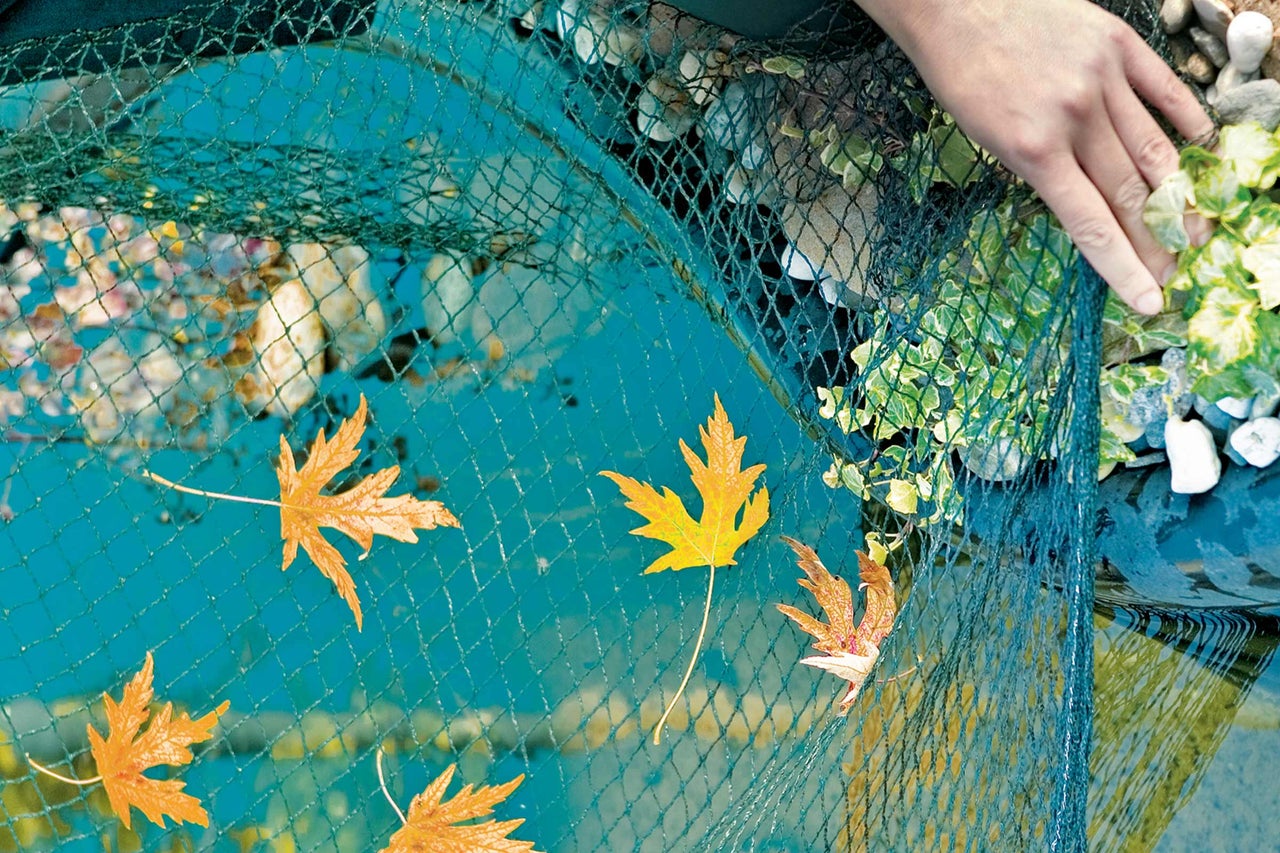Teich mit Schutznetz und Herbstlaub