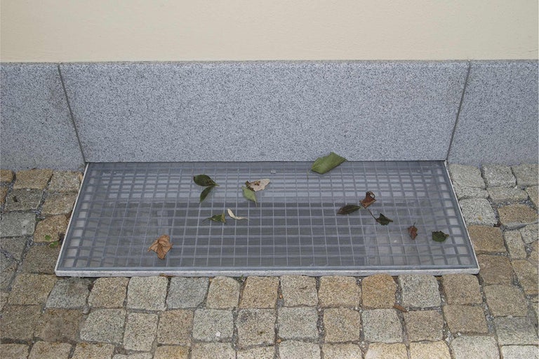 Kellerfenstergitter mit Blättern auf Pflastersteinen