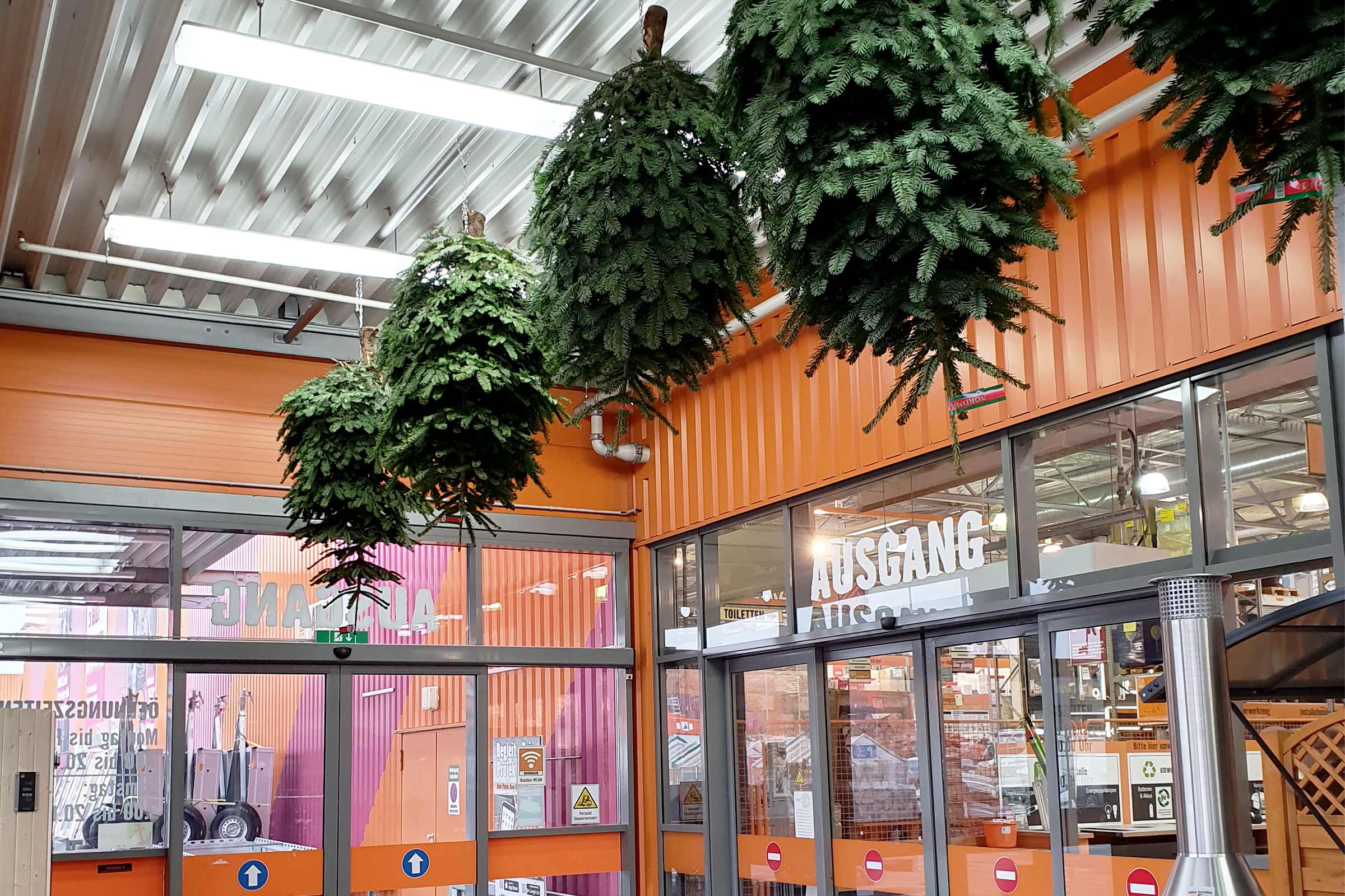 Dekorative Weihnachtsbäume hängen im Hornbach Baumarkt.