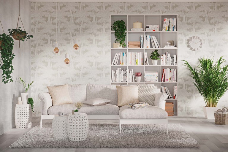 Wohnzimmer mit Sofa, Bücherregal, Teppich und Zimmerpflanzen für eine helle und organisierte Atmosphäre.