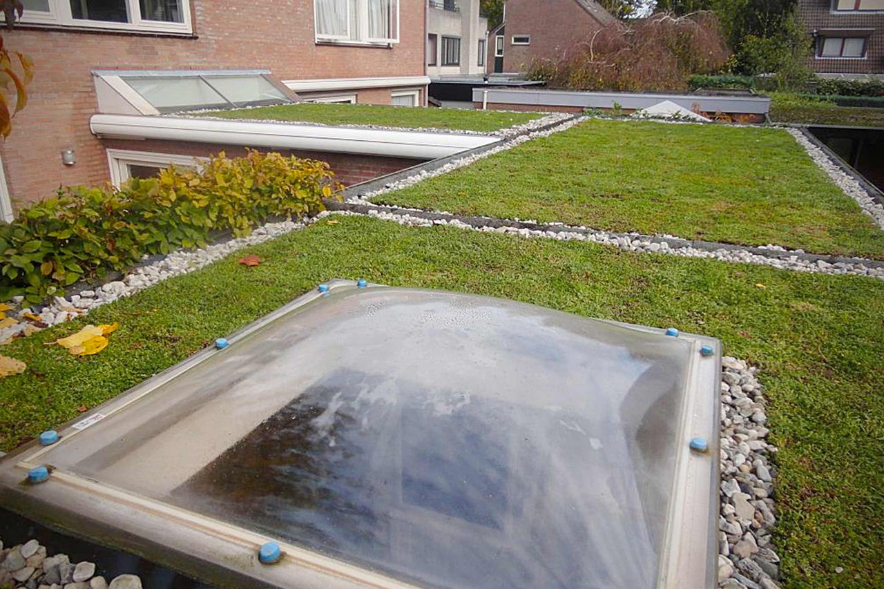 Ansicht eines Hauses mit Gründach und Oberlichtern, bepflanzt mit Gras und umgeben von Steinen.