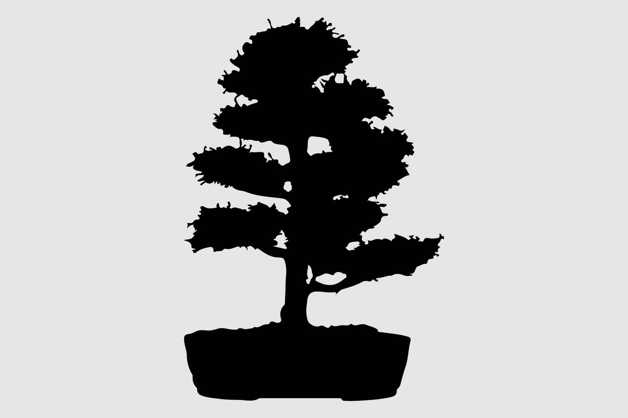 Silhouette eines Bonsai-Baums in einem Topf