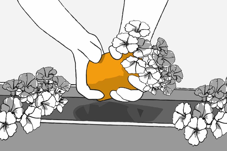 Illustration: Hände pflanzen Blumen in einen Blumenkasten