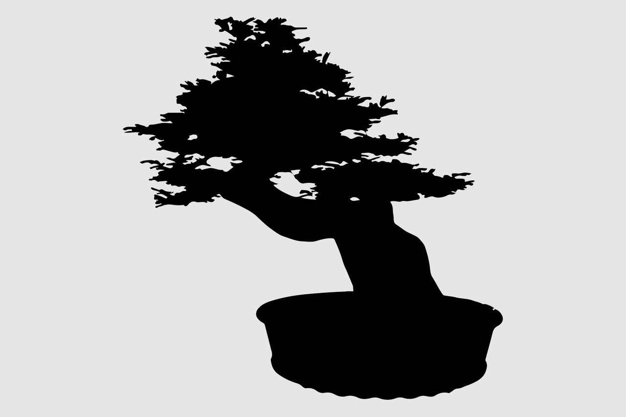 Bonsai im Topf