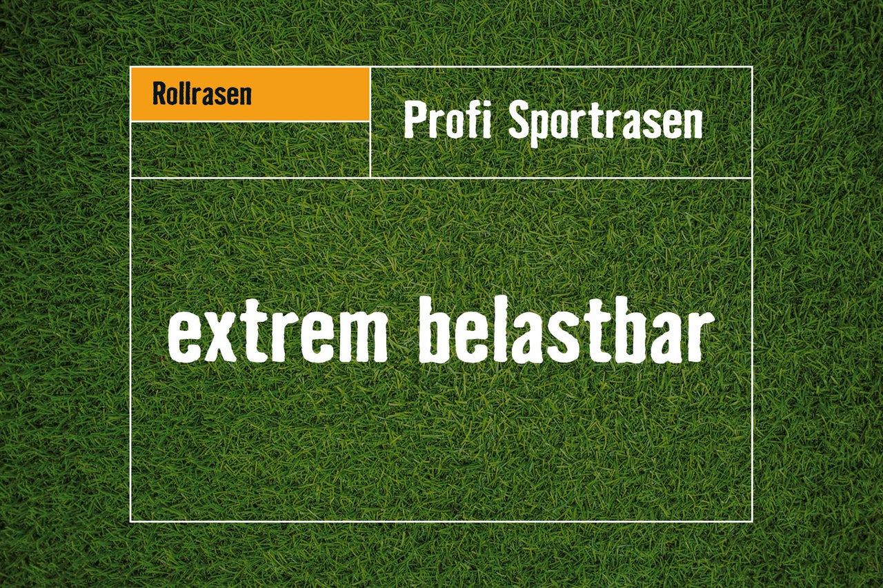Rollrasen Profi Sportrasen extrem belastbar