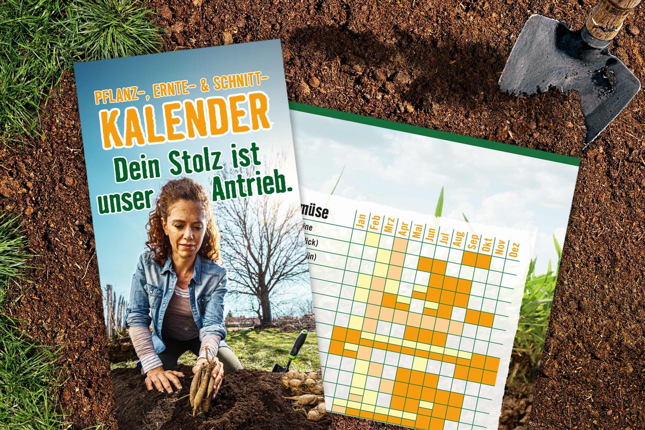 Pflanz-, Ernte- und Schnittkalender für den Garten mit Monatsübersicht für Gemüse sowie Frau beim Pflanzen auf Erdboden mit Schaufel.