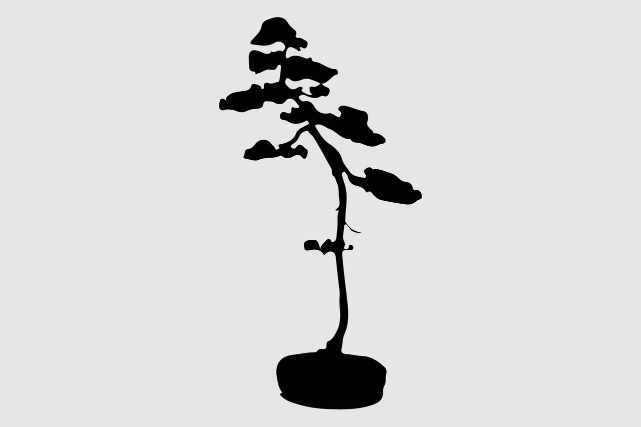 Silhouette eines kleinen Baumes im Topf
