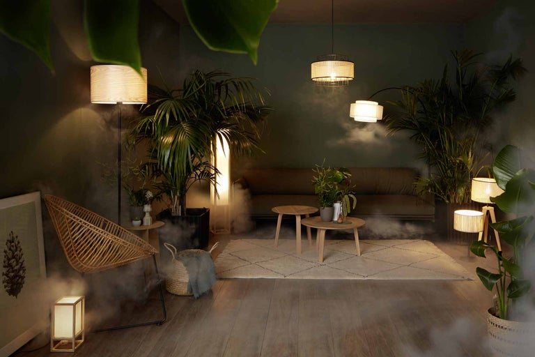 Wohnzimmer mit diversen Lampen, Sofa, Sessel und Pflanzen für eine gemütliche Atmosphäre