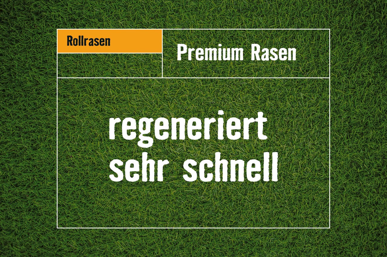 Rollrasen Premium Rasen regeneriert sehr schnell