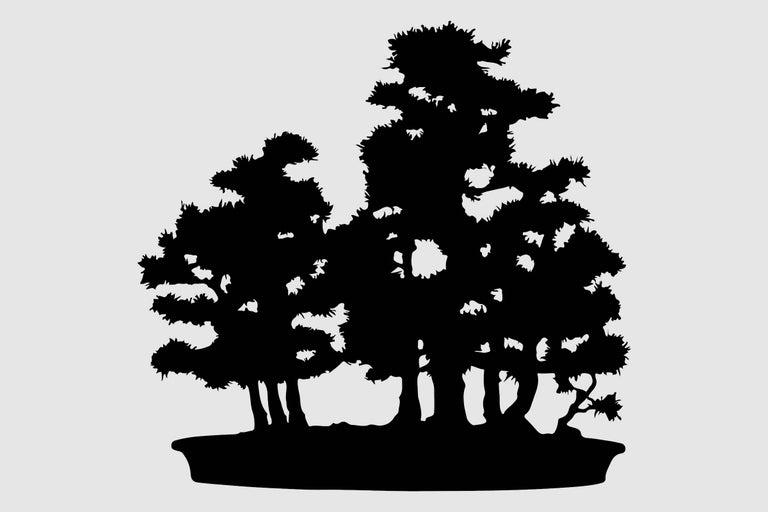 Silhouette einer Bonsai-Baumgruppe in einer Schale