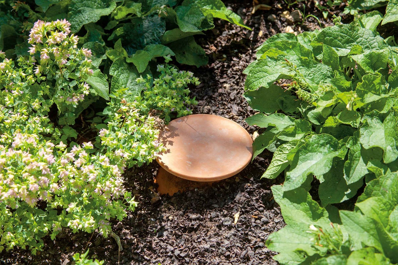 Ollas Bewässerung im Garten