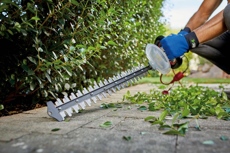 Eine Heckenschere schneidet eine Hecke auf einem gepflasterten Weg.