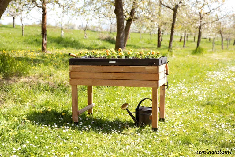 Hochbeet aus Holz mit Blumen und Gießkanne im Garten