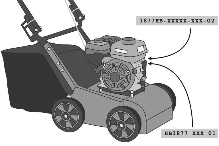 Rasenmäher mit Motor und Fangkorb