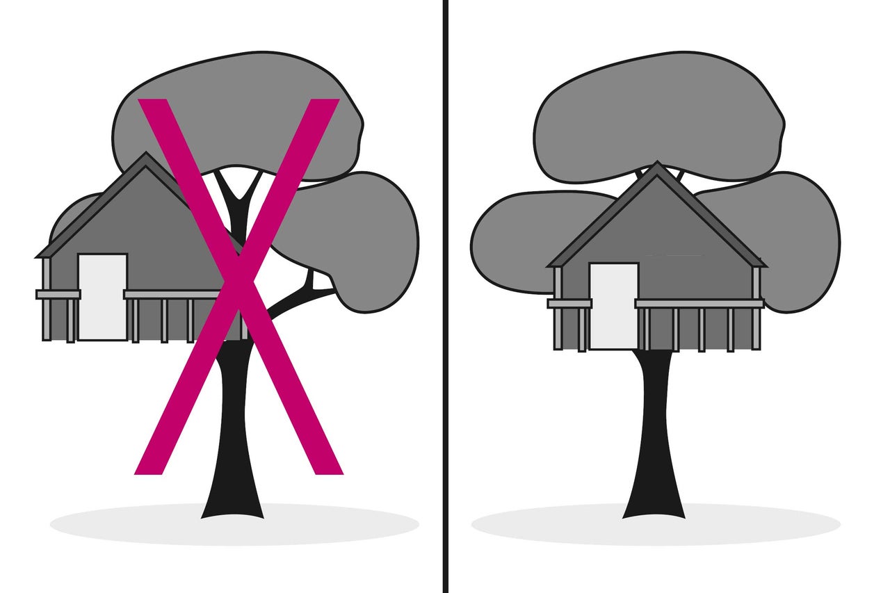 Vergleich: Baumhaus nicht sicher versus sicheres Baumhaus