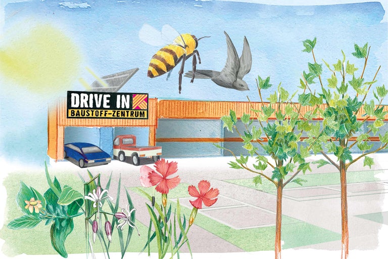 Illustration eines Hornbach Drive In Baustoffzentrums mit Fahrzeugen, Biene, Schwalbe und Pflanzen