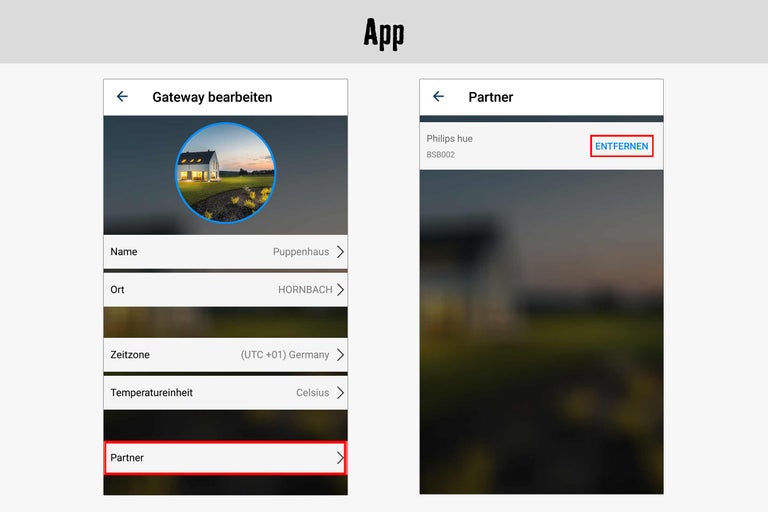 Screenshot der App zur Gateway-Bearbeitung mit Partner-Option