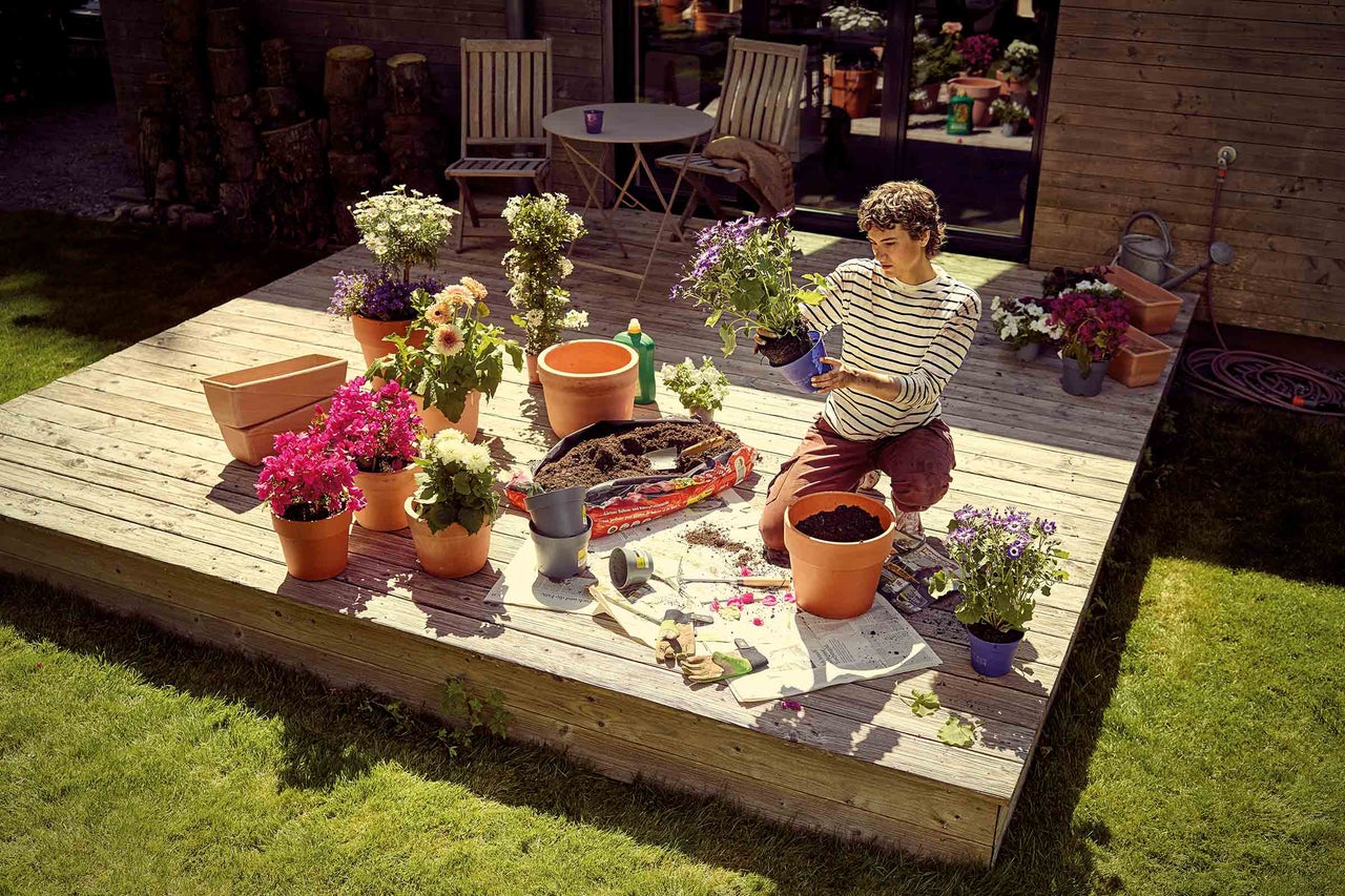 Terrasse bepflanzen
