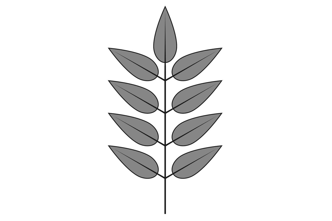 Blattdesign