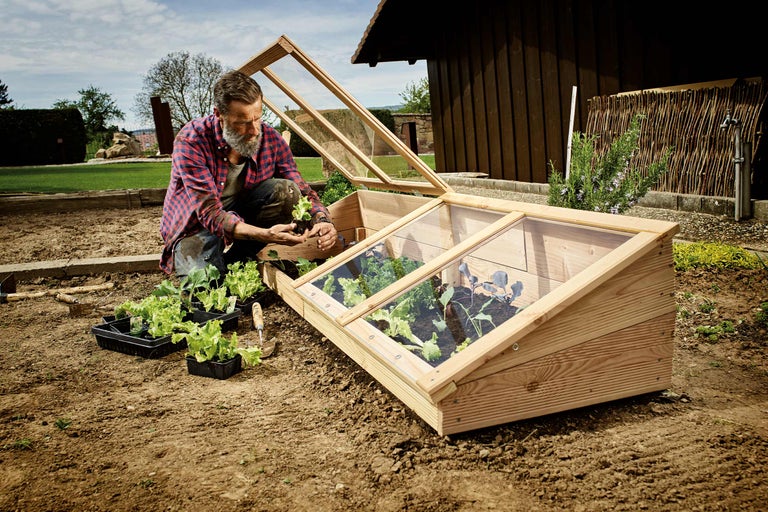 Mann pflanzt Setzlinge in ein Frühbeet im Garten.