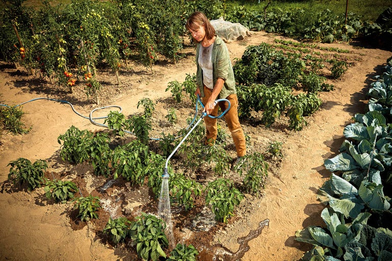 Eine Frau gießt Pflanzen in einem Gemüsegarten mit einem Gartenschlauch.
