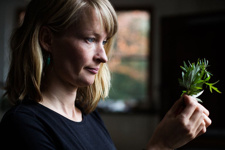 Frau betrachtet grünen Zweig