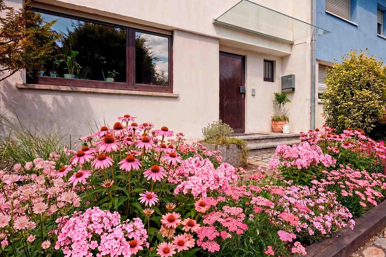 Üppiges Blumenbeet mit rosa Sonnenhut und Phlox vor einem hellen Wohnhaus mit gläsernem Vordach und dunkler Holztür.