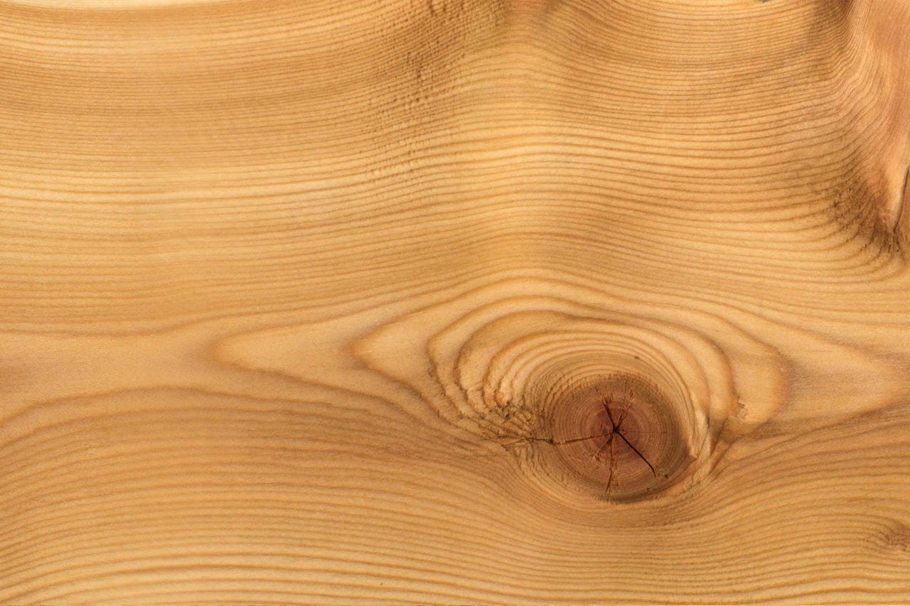 Holzbrett mit Ast