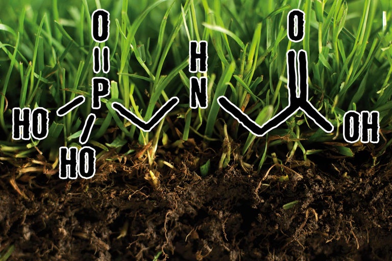 Darstellung einer chemischen Formel vor Rasen und Erde