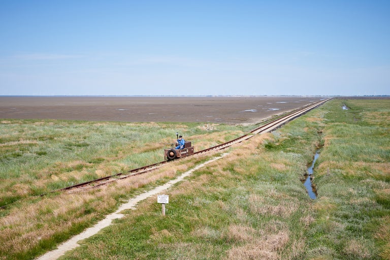 Landschaftsansicht mit Gleisen und Lorenwagen im Wattenmeer