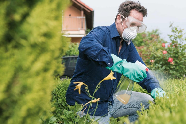 Ein Mann sprüht Pflanzen mit Schutzbrille, Schutzmaske und Handschuhen.