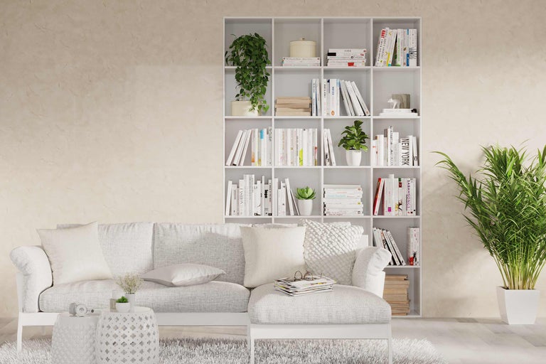 Wohnzimmer mit weißem Bücherregal, Sofa, Zimmerpflanzen und Dekorationen