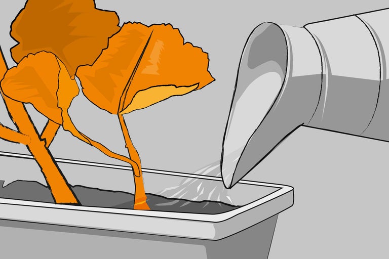 Illustration eines Blumenkastens mit Geranien, die bewässert werden