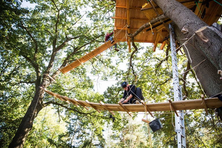 Baumhausbau mit Holzstegen zwischen den Bäumen