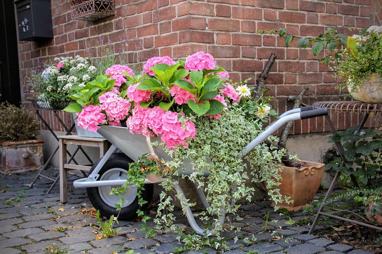 Blumenarrangement mit Hortensien in einer Schubkarre vor einer Backsteinmauer
