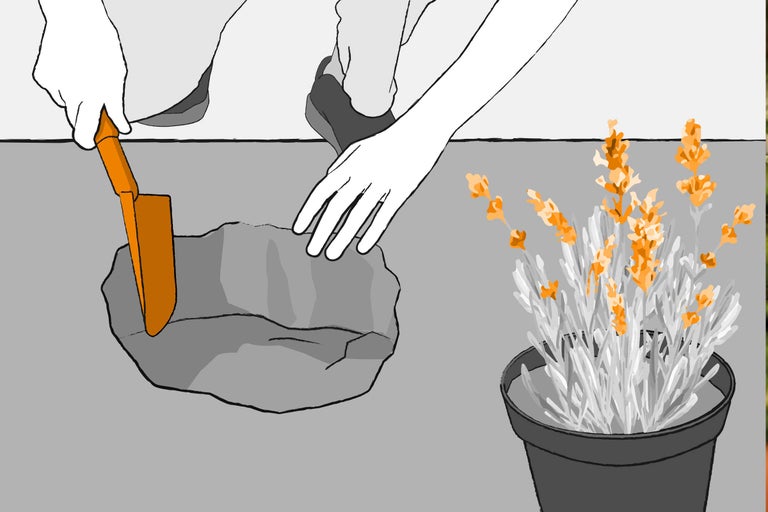 Illustration eines Gartenarbeiters, der ein Loch buddelt