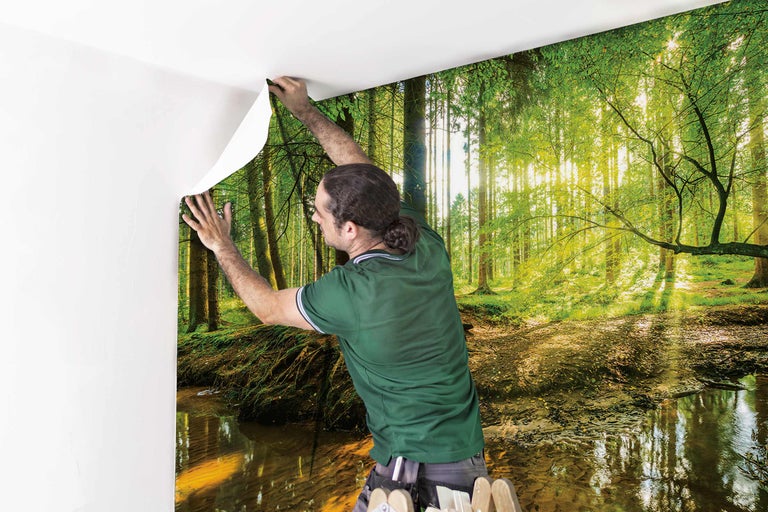 Eine Person befestigt eine Fototapete mit einem Waldmotiv an einer Wand.